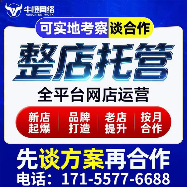 梧州电商代运营
